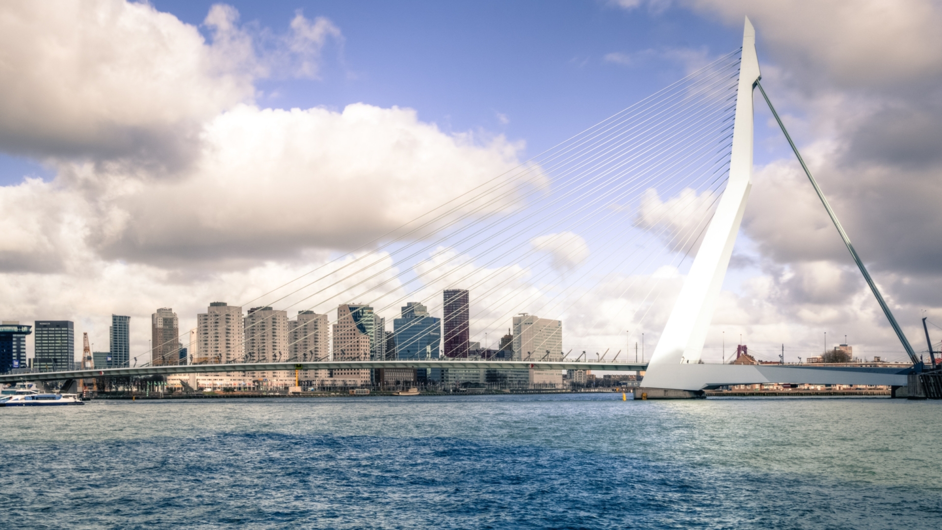 Header skyline Rotterdam