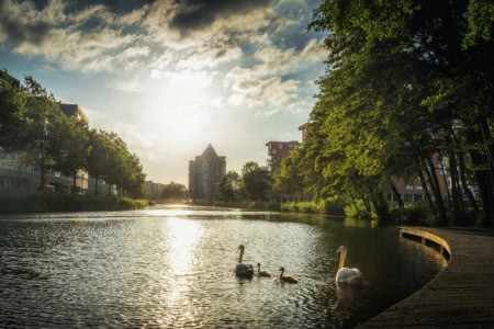 Apeldoorn