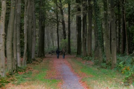 Bospad, Barneveld, Nederland